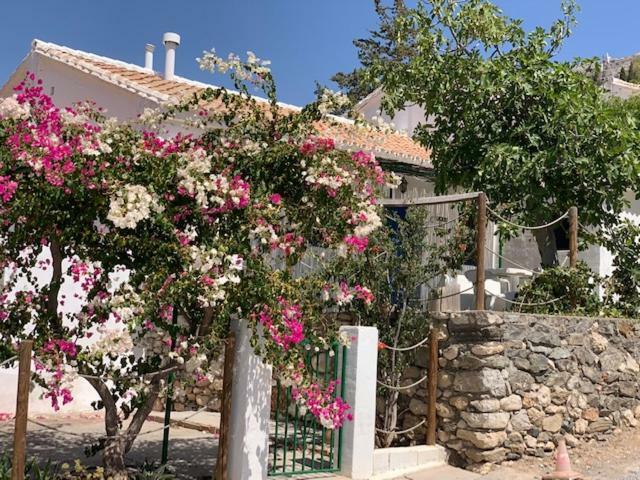 Casa Isabel - La Almona Chica Pensionat El Chorro Eksteriør billede